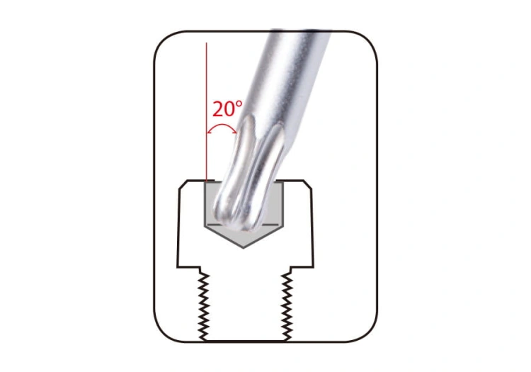 204B29PR_1.jpg